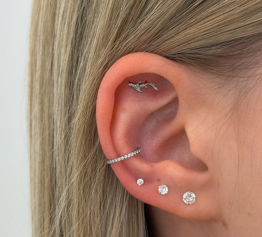 Hal Mintás Titán Talpas Piercing – 8 mm