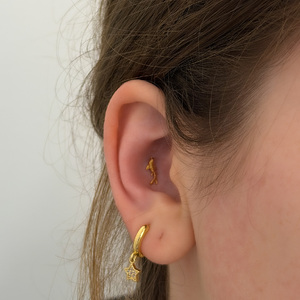 Talpas Piercing – Arany Színű Titánium Fülékszer